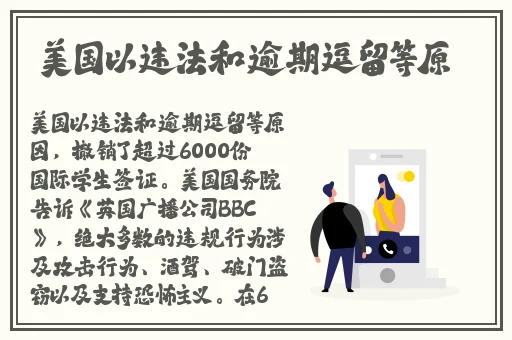 纳西妲腿法娴熟脚法澎湃新闻